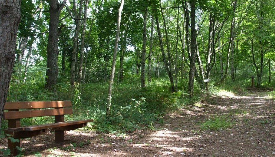Arboretum Paul Barge, Ferrières-sur-Sichon, France, France